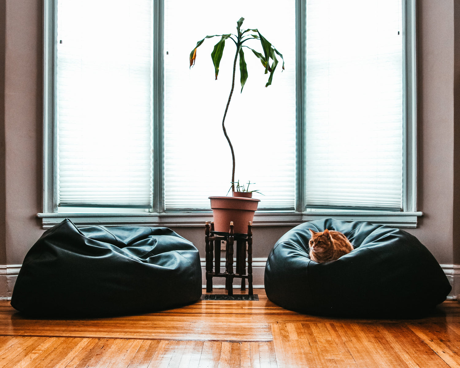 Decor